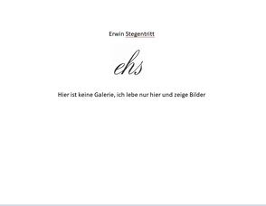 EHS – Hier ist keine Galerie von Stegentritt,  Erwin