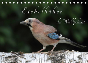 Eichelhäher der Waldpolizist (Tischkalender 2022 DIN A5 quer) von Konieczka,  Klaus