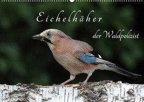 Eichelhäher der Waldpolizist (Wandkalender 2022 DIN A2 quer) von Konieczka,  Klaus