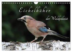 Eichelhäher der Waldpolizist (Wandkalender 2024 DIN A4 quer), CALVENDO Monatskalender von Konieczka,  Klaus