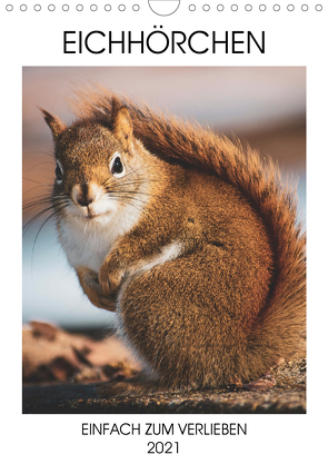 Eichhörnchen – Einfach zum Verlieben (Wandkalender 2021 DIN A4 hoch) von Same