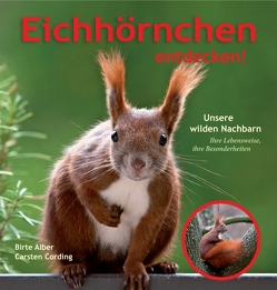 Eichhörnchen entdecken! von Carsten Cording,  Birte Alber