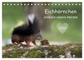 Eichhörnchen erobern unsere Herzen (Tischkalender 2024 DIN A5 quer), CALVENDO Monatskalender von Cerny,  Birgit