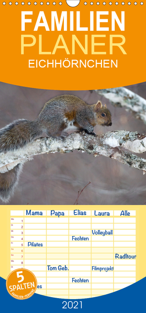 EICHHÖRNCHEN – Familienplaner hoch (Wandkalender 2021 , 21 cm x 45 cm, hoch) von Henry,  Philippe