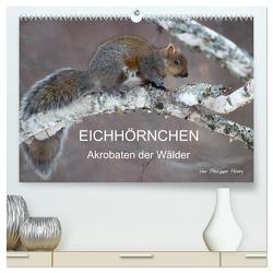 EICHHÖRNCHEN (hochwertiger Premium Wandkalender 2024 DIN A2 quer), Kunstdruck in Hochglanz von Henry,  Philippe