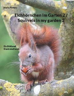 Eichhörnchen im Garten 2 / Squirrels in my garden 2 von Porten,  Mario