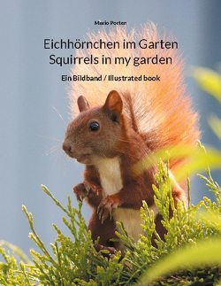 Eichhörnchen im Garten / Squirrels in my garden von Porten,  Mario