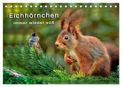 Eichhörnchen – immer wieder süß (Tischkalender 2024 DIN A5 quer), CALVENDO Monatskalender von Roder,  Peter