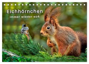 Eichhörnchen – immer wieder süß (Tischkalender 2024 DIN A5 quer), CALVENDO Monatskalender von Roder,  Peter