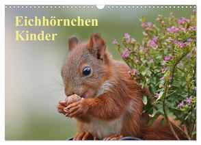 Eichhörnchen Kinder (Wandkalender 2024 DIN A3 quer), CALVENDO Monatskalender von Meier,  Tine