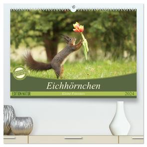 Eichhörnchen – Kleine Fotostars (hochwertiger Premium Wandkalender 2024 DIN A2 quer), Kunstdruck in Hochglanz von Cerny,  Birgit