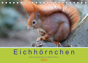 Eichhörnchen – Kleine Kobolde im Roten Pelz (Tischkalender 2023 DIN A5 quer) von Brackhan,  Margret