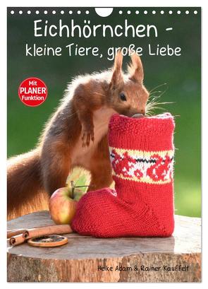 Eichhörnchen – kleine Tiere, große Liebe (Wandkalender 2024 DIN A4 hoch), CALVENDO Monatskalender von Adam,  Heike