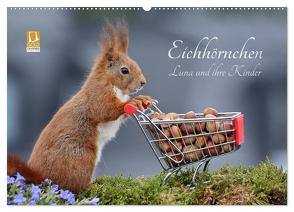 Eichhörnchen Luna und ihre Kinder (Wandkalender 2024 DIN A2 quer), CALVENDO Monatskalender von Meier,  Tine