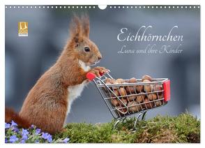 Eichhörnchen Luna und ihre Kinder (Wandkalender 2024 DIN A3 quer), CALVENDO Monatskalender von Meier,  Tine