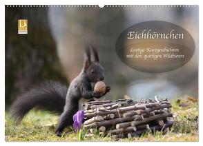 Eichhörnchen – Lustige Kurzgeschichten mit den quirligen Wildtieren (Wandkalender 2024 DIN A2 quer), CALVENDO Monatskalender von Cerny,  Birgit