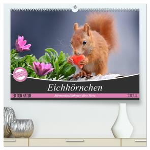 Eichhörnchen Momentaufnahmen fürs Herz (hochwertiger Premium Wandkalender 2024 DIN A2 quer), Kunstdruck in Hochglanz von Meier,  Tine