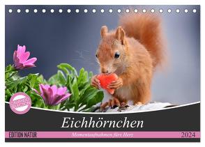 Eichhörnchen Momentaufnahmen fürs Herz (Tischkalender 2024 DIN A5 quer), CALVENDO Monatskalender von Meier,  Tine