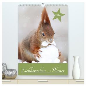 Eichhörnchen – Planer (hochwertiger Premium Wandkalender 2024 DIN A2 hoch), Kunstdruck in Hochglanz von Cerny,  Birgit