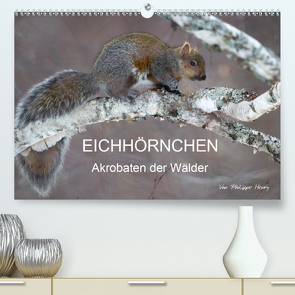 EICHHÖRNCHEN (Premium, hochwertiger DIN A2 Wandkalender 2021, Kunstdruck in Hochglanz) von Henry,  Philippe