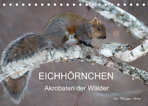 EICHHÖRNCHEN (Tischkalender 2022 DIN A5 quer) von Henry,  Philippe