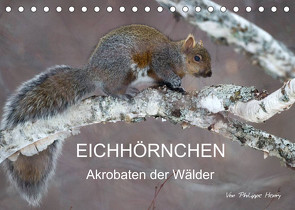 EICHHÖRNCHEN (Tischkalender 2023 DIN A5 quer) von Henry,  Philippe