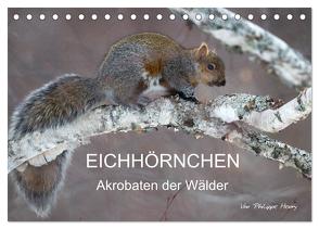 EICHHÖRNCHEN (Tischkalender 2024 DIN A5 quer), CALVENDO Monatskalender von Henry,  Philippe