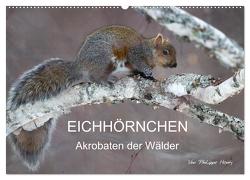 EICHHÖRNCHEN (Wandkalender 2024 DIN A2 quer), CALVENDO Monatskalender von Henry,  Philippe