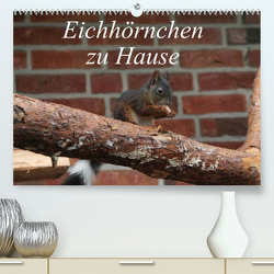 Eichhörnchen zu Hause (Premium, hochwertiger DIN A2 Wandkalender 2022, Kunstdruck in Hochglanz) von Peitz,  Martin