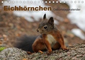 Eichhörnchen/Geburtstagskalender (Tischkalender 2018 DIN A5 quer) von lajavi.com