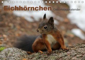 Eichhörnchen/Geburtstagskalender (Tischkalender 2019 DIN A5 quer) von lajavi.com