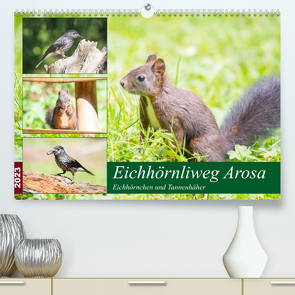 Eichhörnliweg Arosa – Eichhörnchen und Tannenhäher (Premium, hochwertiger DIN A2 Wandkalender 2023, Kunstdruck in Hochglanz) von und Philipp Kellmann,  Stefanie