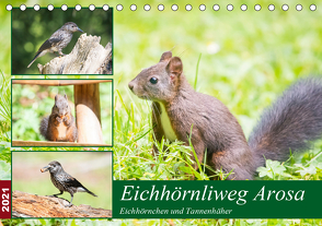 Eichhörnliweg Arosa – Eichhörnchen und Tannenhäher (Tischkalender 2021 DIN A5 quer) von und Philipp Kellmann,  Stefanie