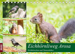 Eichhörnliweg Arosa – Eichhörnchen und Tannenhäher (Tischkalender 2022 DIN A5 quer) von und Philipp Kellmann,  Stefanie