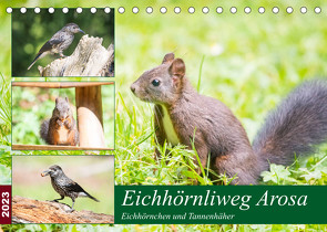 Eichhörnliweg Arosa – Eichhörnchen und Tannenhäher (Tischkalender 2023 DIN A5 quer) von und Philipp Kellmann,  Stefanie