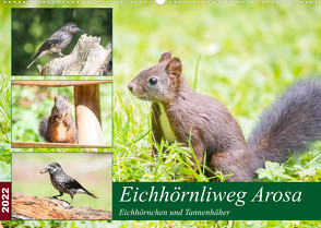 Eichhörnliweg Arosa – Eichhörnchen und Tannenhäher (Wandkalender 2022 DIN A2 quer) von und Philipp Kellmann,  Stefanie