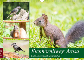 Eichhörnliweg Arosa – Eichhörnchen und Tannenhäher (Wandkalender 2022 DIN A3 quer) von und Philipp Kellmann,  Stefanie