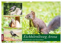 Eichhörnliweg Arosa – Eichhörnchen und Tannenhäher (Wandkalender 2024 DIN A2 quer), CALVENDO Monatskalender von und Philipp Kellmann,  Stefanie