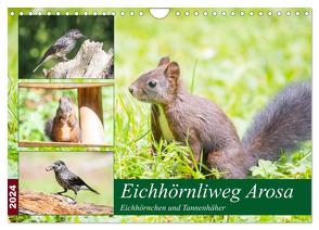 Eichhörnliweg Arosa – Eichhörnchen und Tannenhäher (Wandkalender 2024 DIN A4 quer), CALVENDO Monatskalender von und Philipp Kellmann,  Stefanie