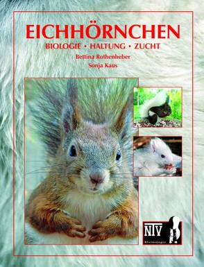 Eichhörnchen von Kaus,  Sonja, Rothenheber,  Bettina