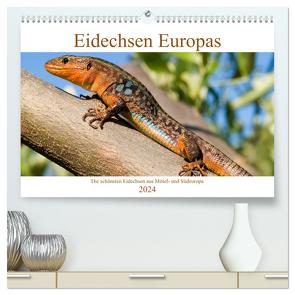 Eidechsen Europas (hochwertiger Premium Wandkalender 2024 DIN A2 quer), Kunstdruck in Hochglanz von Simlinger,  Wolfgang