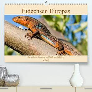 Eidechsen Europas (Premium, hochwertiger DIN A2 Wandkalender 2023, Kunstdruck in Hochglanz) von Simlinger,  Wolfgang