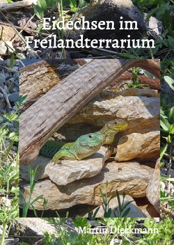 Eidechsen im Freilandterrarium von Dieckmann,  Martin