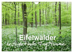 Eifelwälder – bezaubernde Tagträume (Wandkalender 2024 DIN A4 quer), CALVENDO Monatskalender von Wojciech,  Gaby