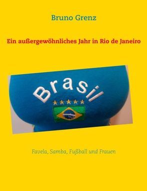 Ein außergewöhnliches Jahr in Rio de Janeiro von Grenz,  Bruno