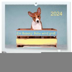 Ein Basenji Baby wird groß (hochwertiger Premium Wandkalender 2024 DIN A2 quer), Kunstdruck in Hochglanz von Joswig,  Angelika Ein Basenji Baby wird groß (hochwertiger Premium Wandkalender 2024 DIN A2 quer), Kunstdruck in Hochglanz von Joswig,  Angelika