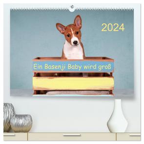 Ein Basenji Baby wird groß (hochwertiger Premium Wandkalender 2024 DIN A2 quer), Kunstdruck in Hochglanz von Joswig,  Angelika