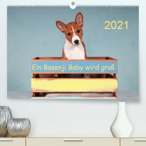 Ein Basenji Baby wird groß (Premium, hochwertiger DIN A2 Wandkalender 2021, Kunstdruck in Hochglanz) von Joswig,  Angelika