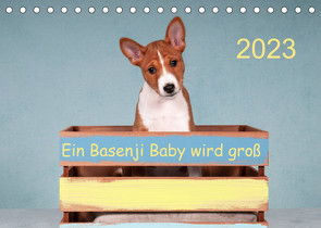 Ein Basenji Baby wird groß (Tischkalender 2023 DIN A5 quer) von Joswig,  Angelika