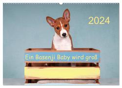 Ein Basenji Baby wird groß (Wandkalender 2024 DIN A2 quer), CALVENDO Monatskalender von Joswig,  Angelika Ein Basenji Baby wird groß (Wandkalender 2024 DIN A2 quer), CALVENDO Monatskalender von Joswig,  Angelika